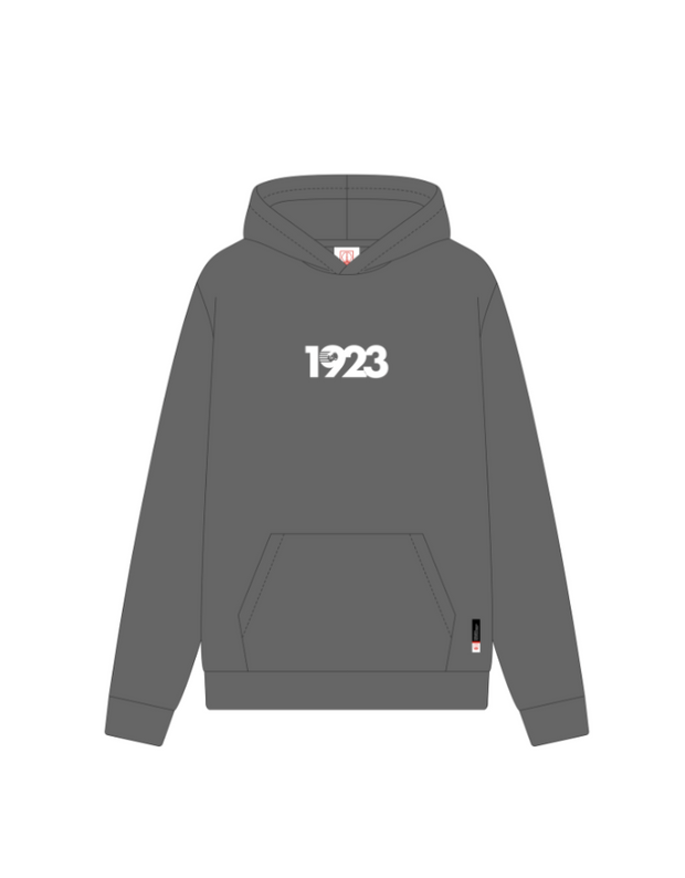 Persis Hoodie 1923 World - Grey